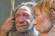 Почему неандертальцы имели действительно здоровые зубы?